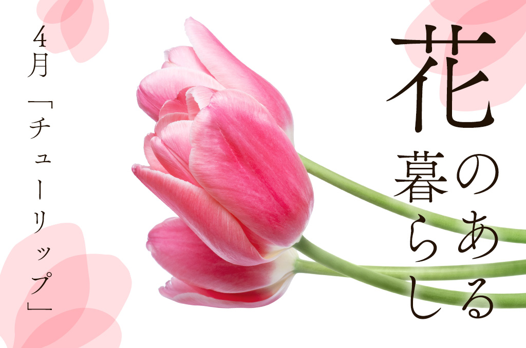 【花のある暮らし】4月号：チューリップ