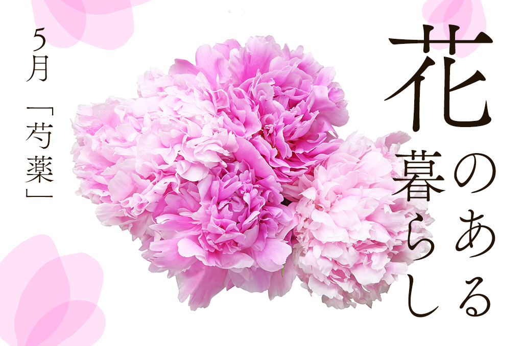 【花のある暮らし】5月号：芍薬