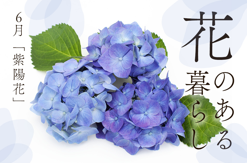 【花のある暮らし】6月号：紫陽花